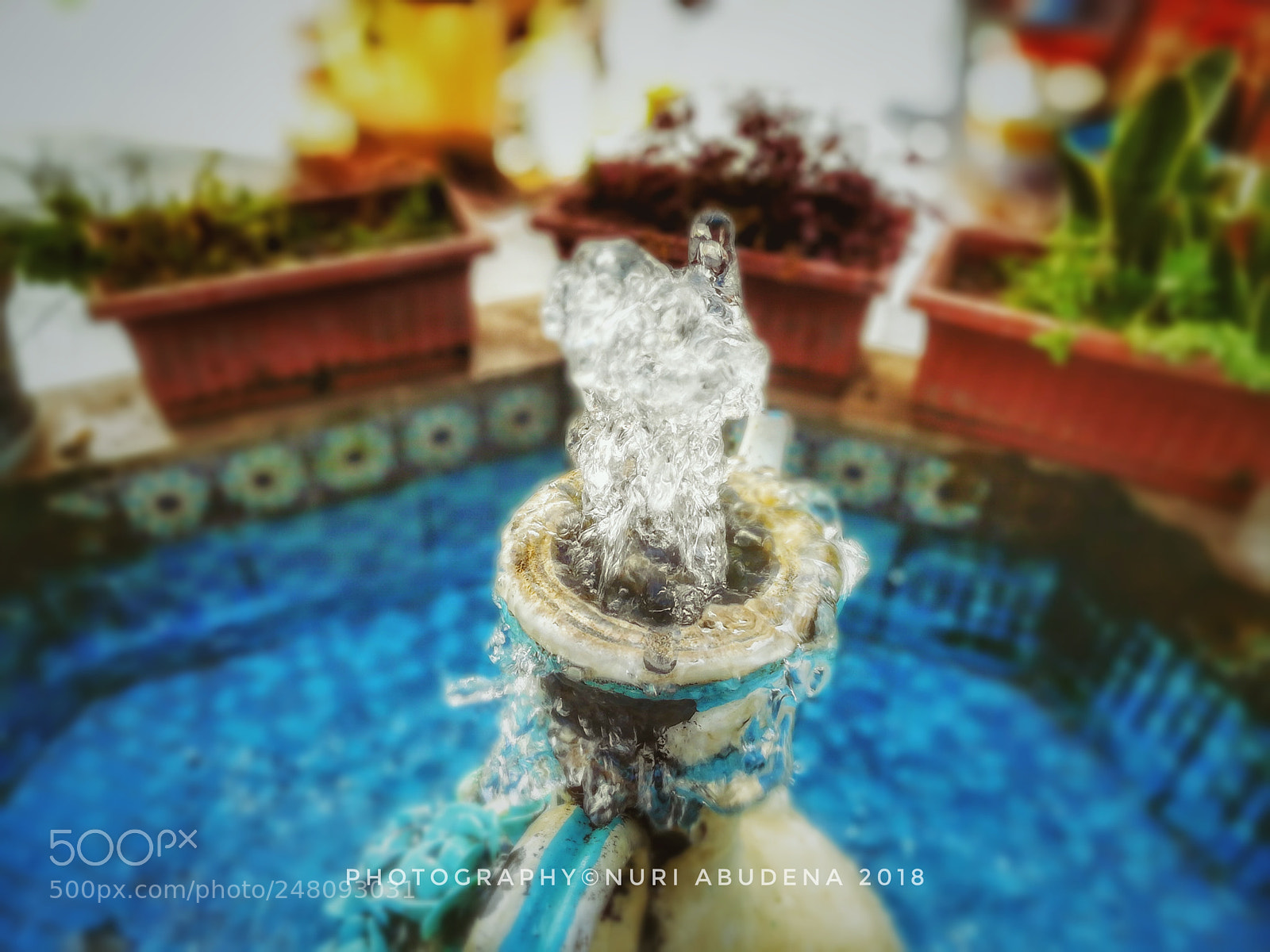 HUAWEI honor 6x sample photo. Untitled photography