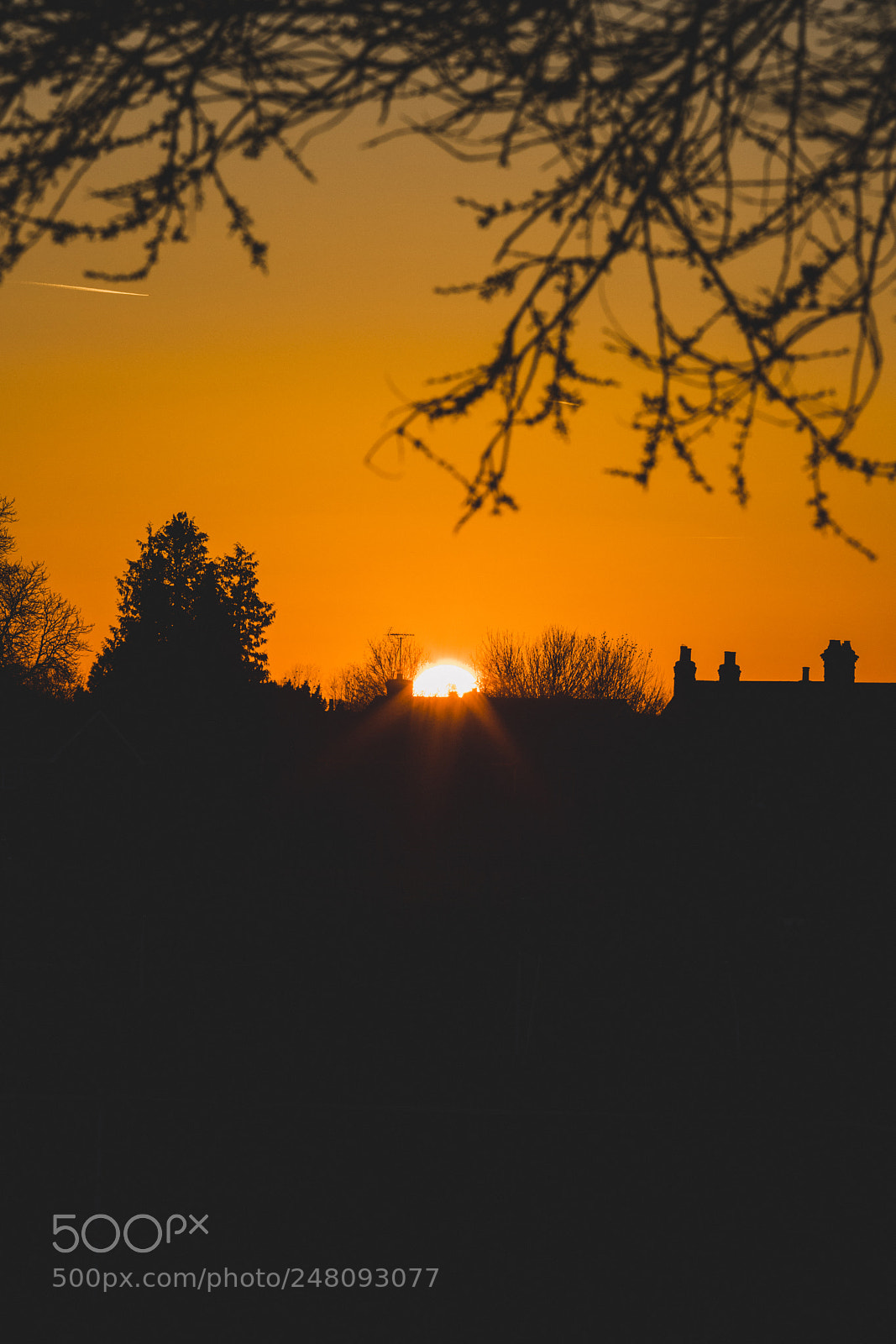 Canon EOS 6D Mark II sample photo. Img photography