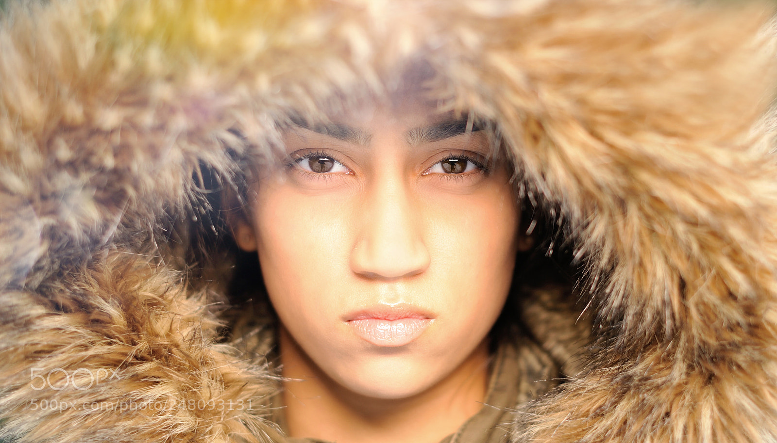Nikon D700 sample photo. Untitled photography