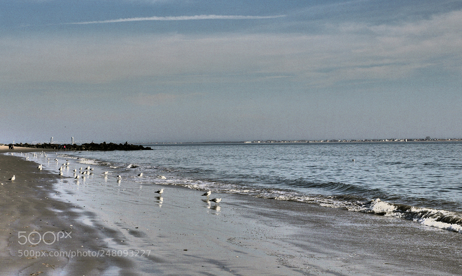 Panasonic Lumix DMC-GH3 sample photo. Moj galebe photography