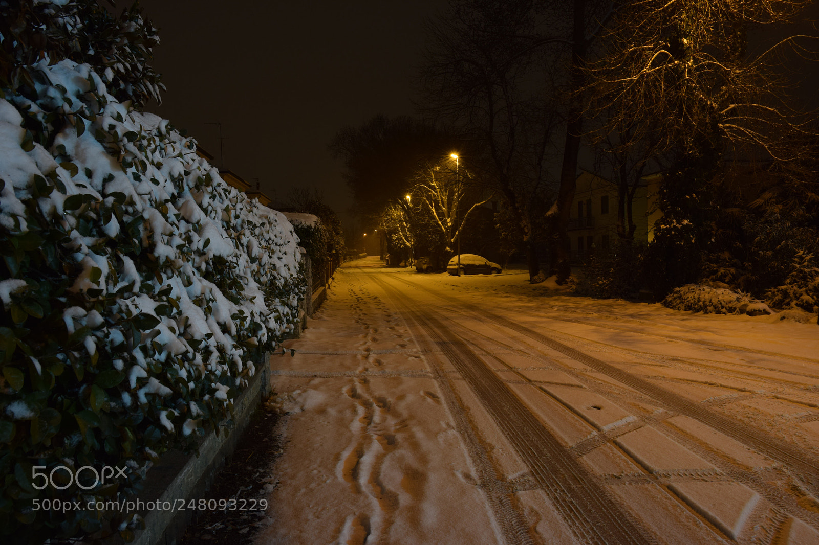 Nikon D5300 sample photo. Ferrara imbiacata photography
