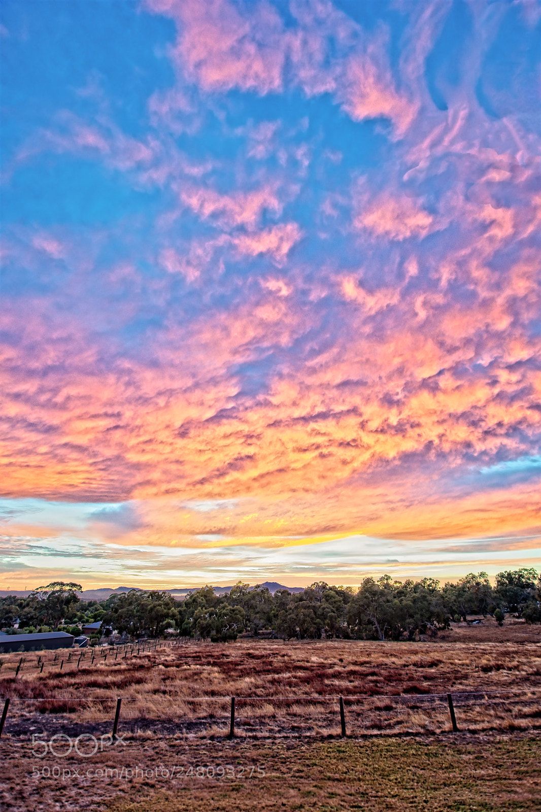 Nikon D500 sample photo. Fiery sunrise ii photography