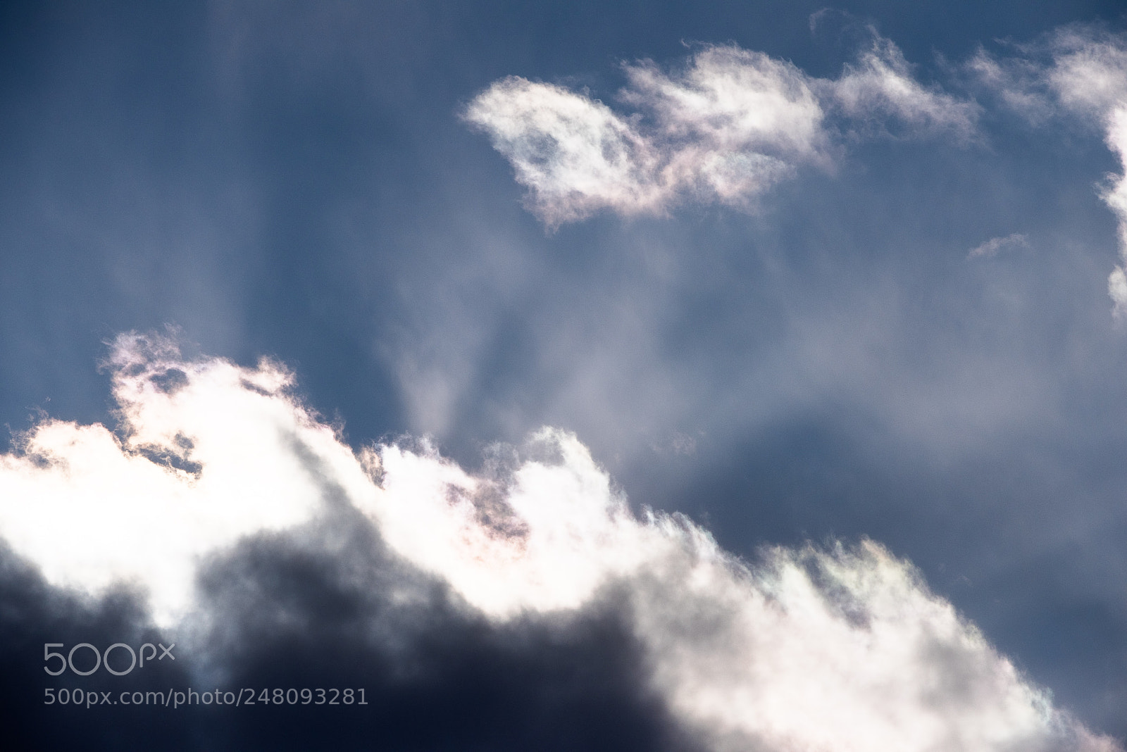 Nikon D810 sample photo. Change photography