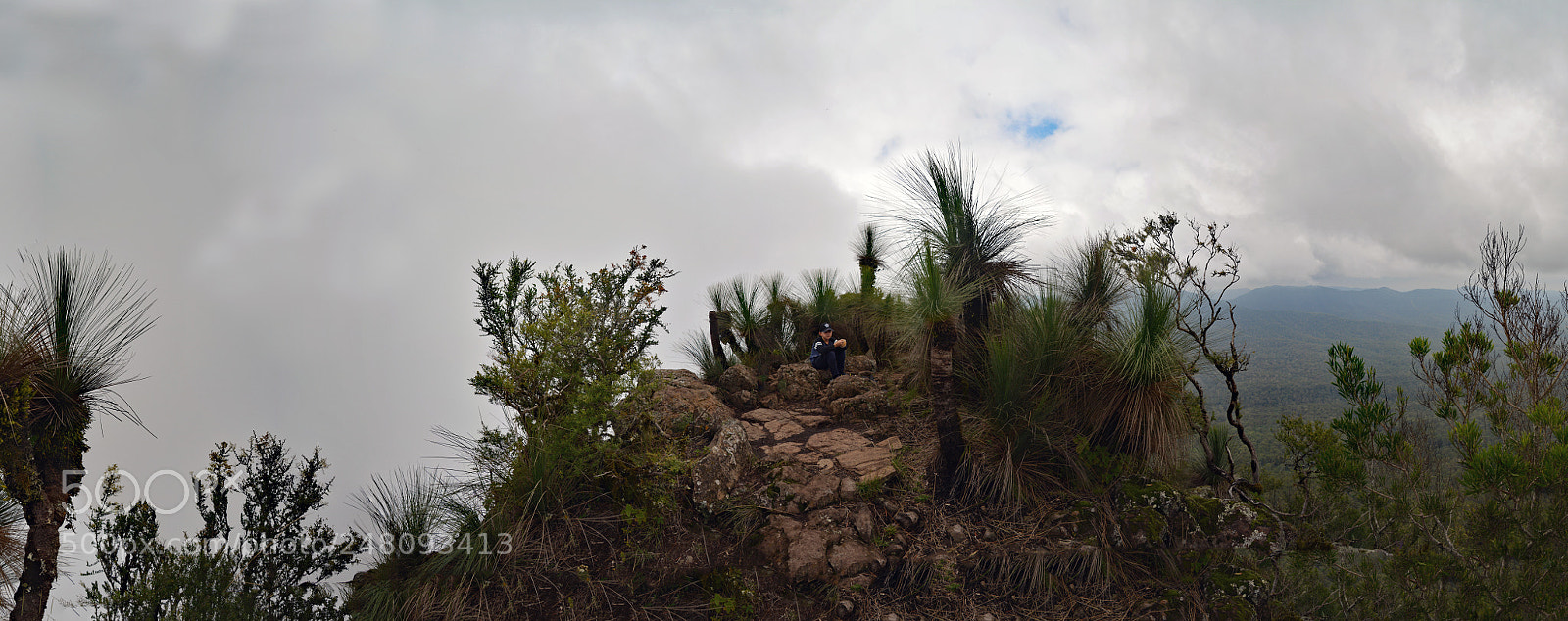 Nikon D5200 sample photo. Mt mitchell panorama, queensland photography