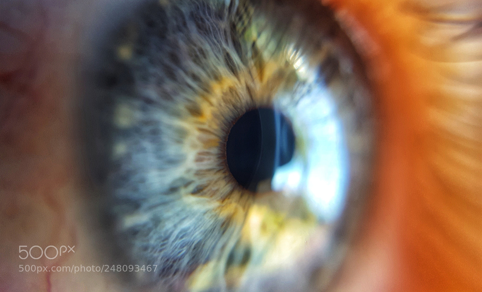 Samsung Galaxy S6 sample photo. Eye photography