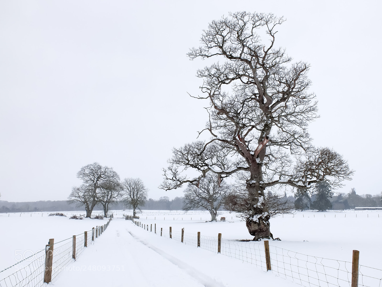 Fujifilm X30 sample photo. White out photography
