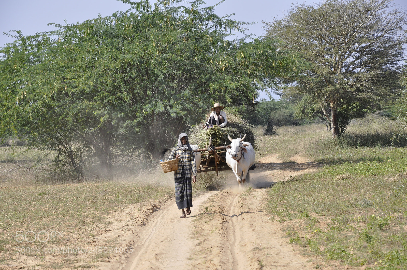 Nikon D90 sample photo. Bagan,myanmar photography