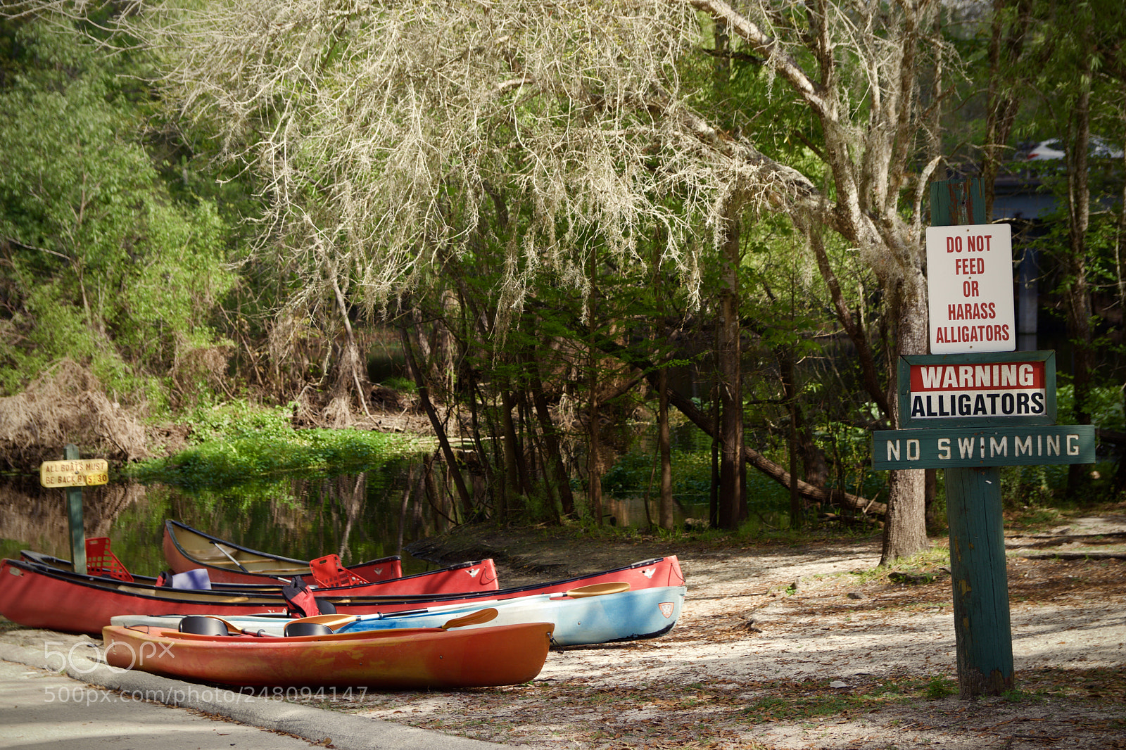 Canon EOS 80D sample photo. Canoe launch near thonotosassa photography