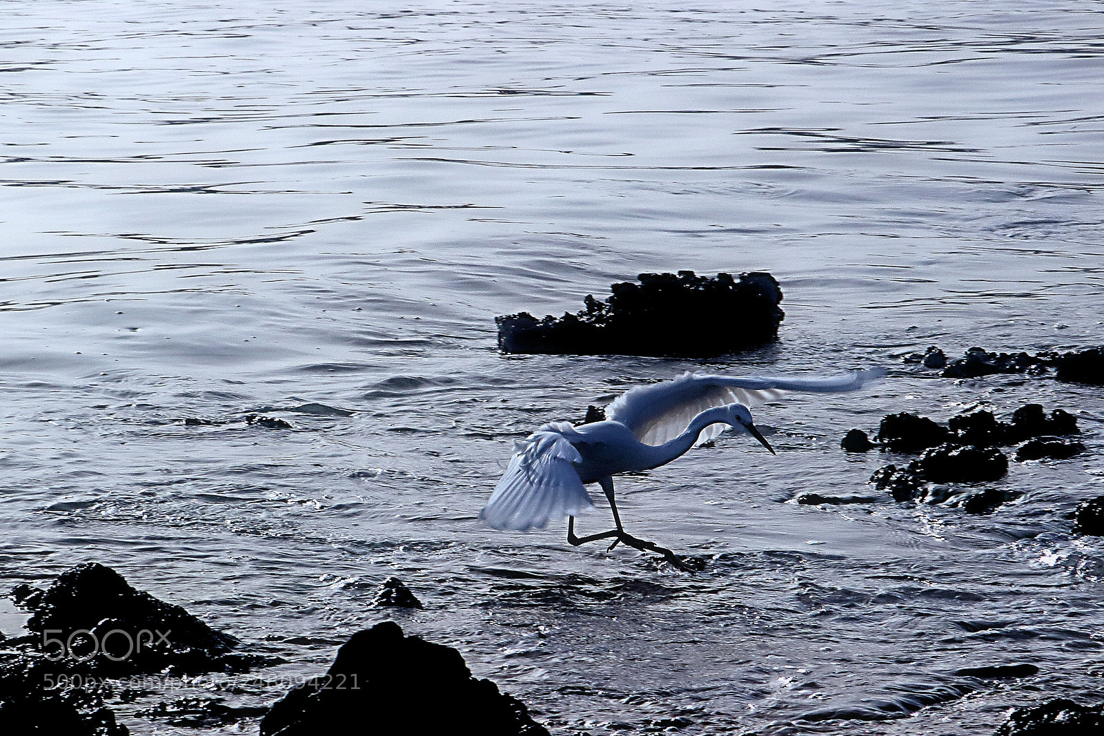 Canon EOS 100D (EOS Rebel SL1 / EOS Kiss X7) sample photo. Hanting moments photography