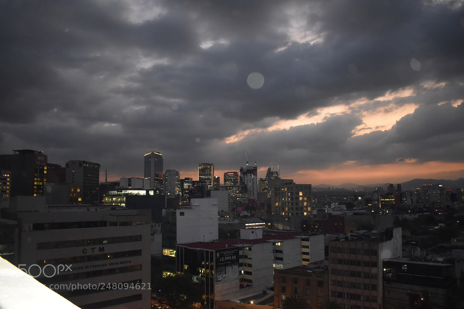 Nikon D5600 sample photo. Untitled photography