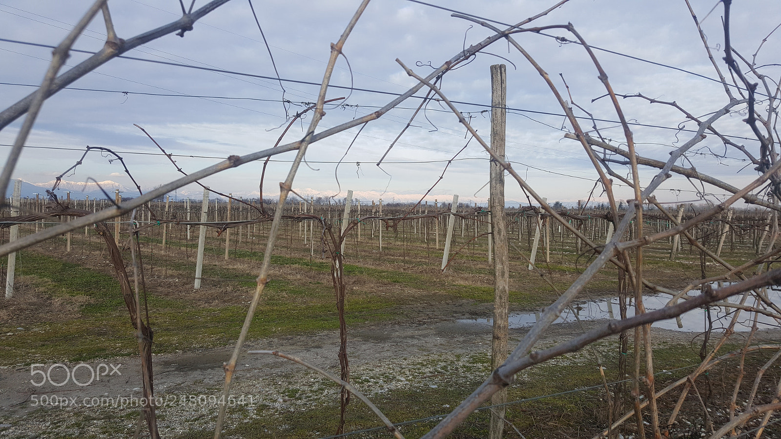 Samsung GALAXY S6 edge sample photo. Untitled photography
