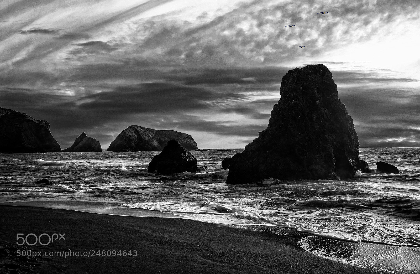 Sony a7R III sample photo. Bw photography