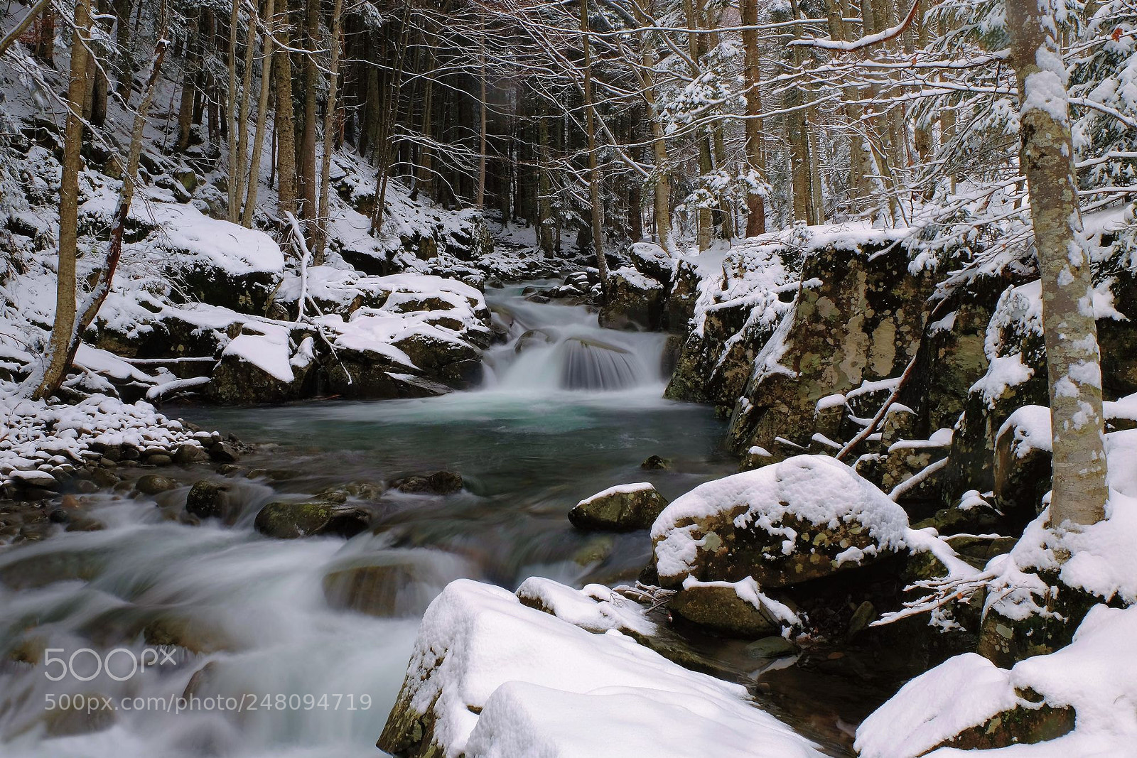 Fujifilm X-M1 sample photo. Creek in the snow photography