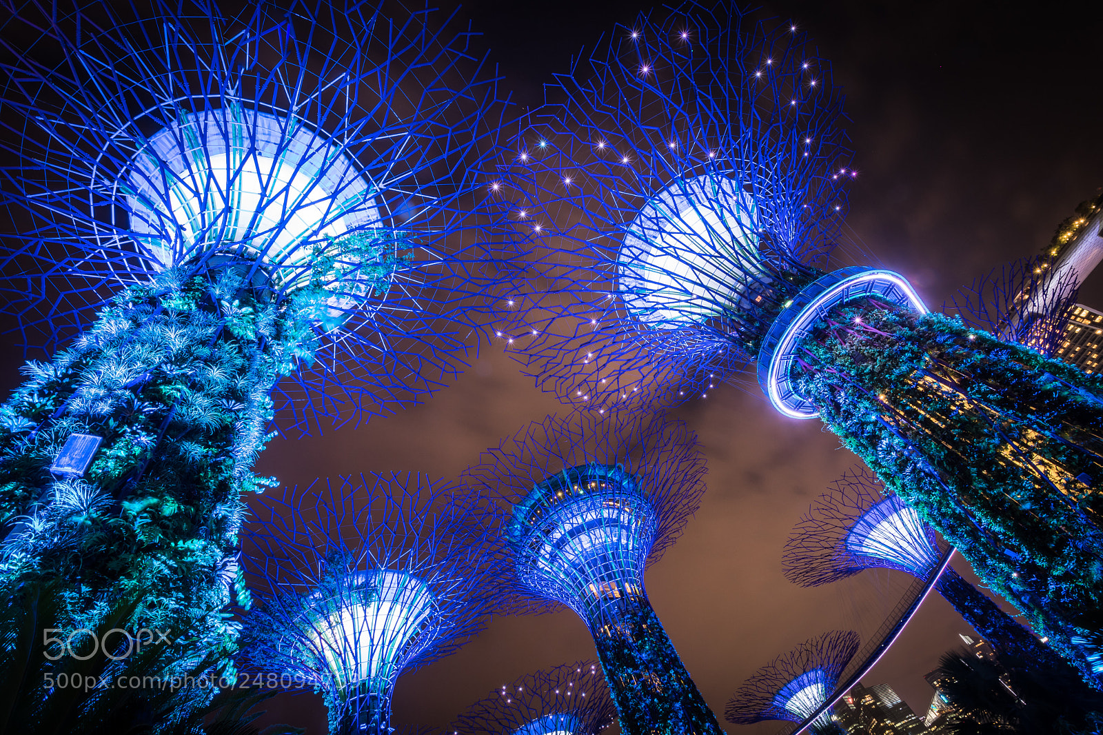 Nikon D500 sample photo. Gardens by the bay photography