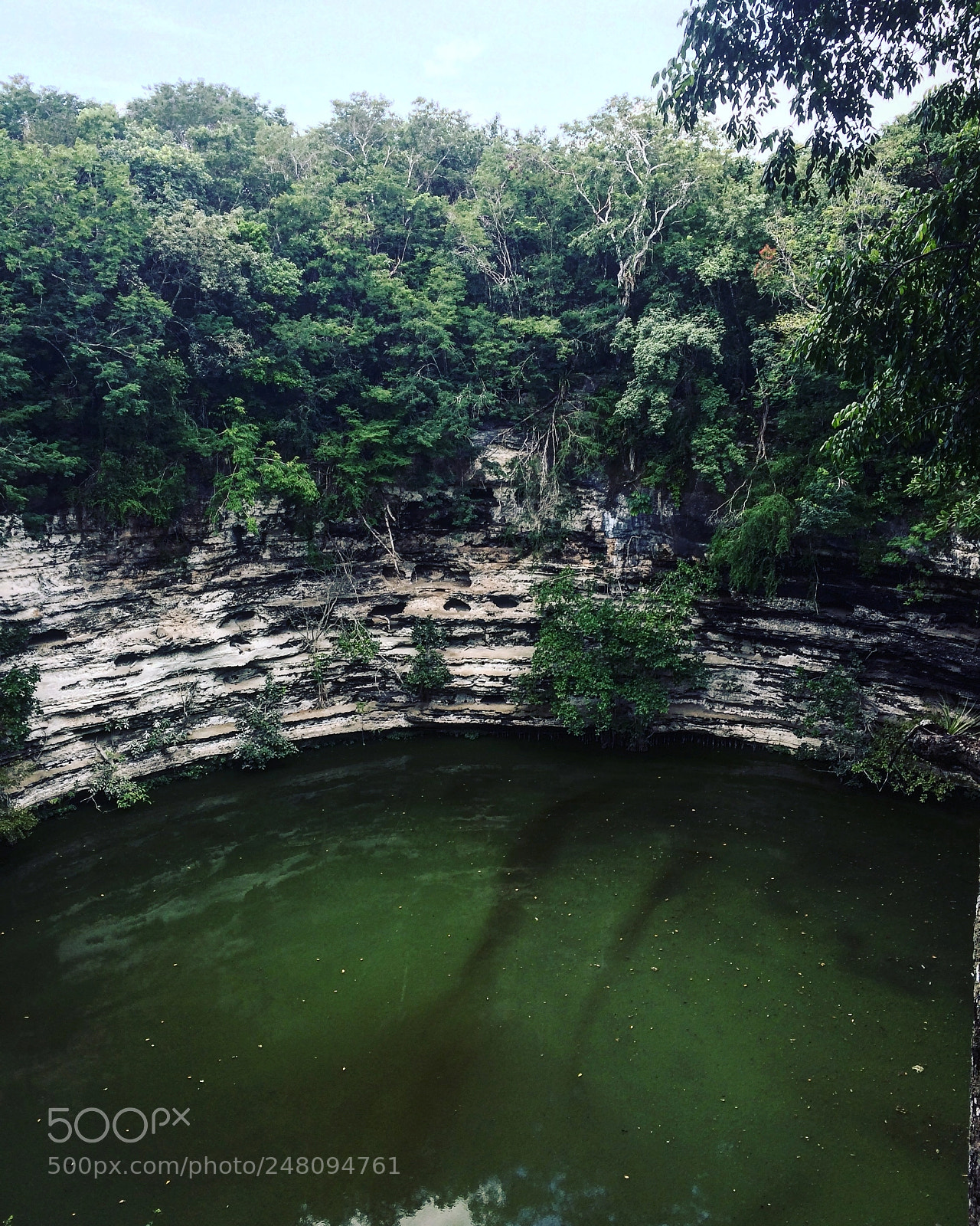 Apple iPhone 5s sample photo. Cenotes are the best photography
