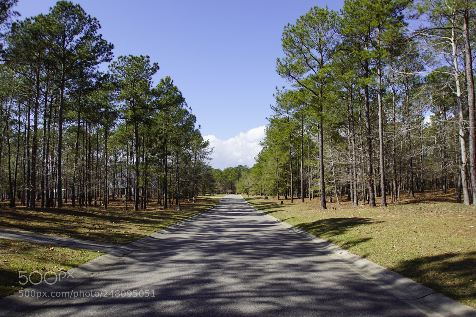 Sony SLT-A68 sample photo. Ne photography