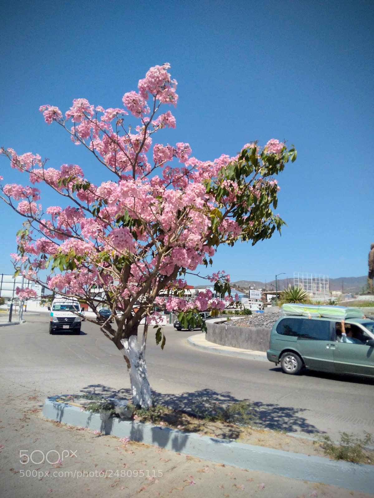 Motorola Moto G Play sample photo. Untitled photography