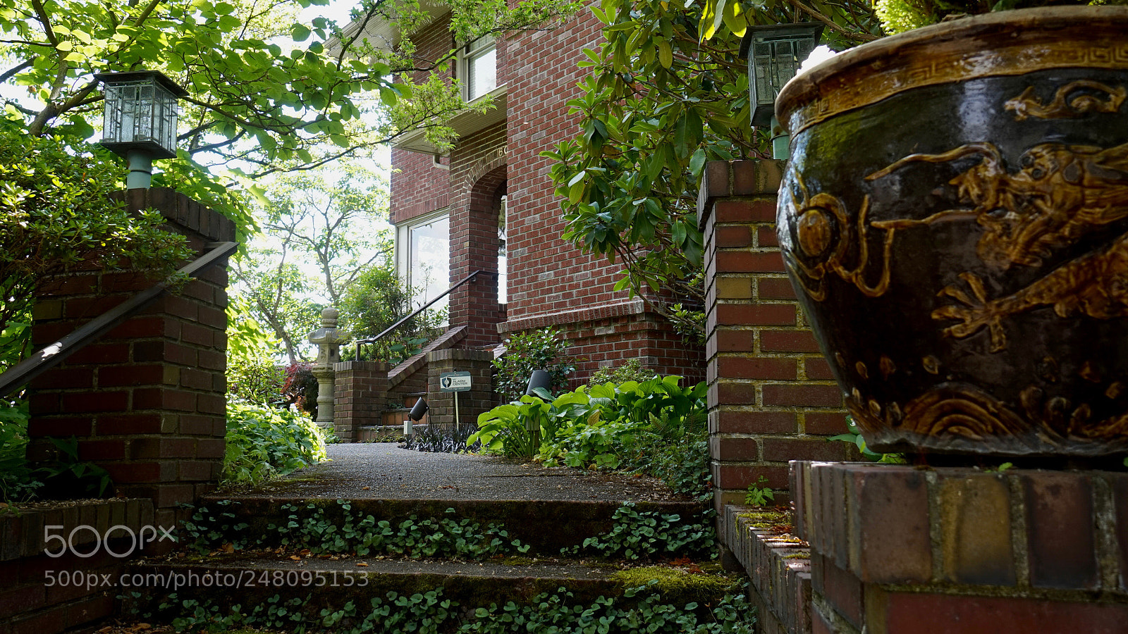 Sony Alpha a5000 (ILCE 5000) sample photo. Untitled photography
