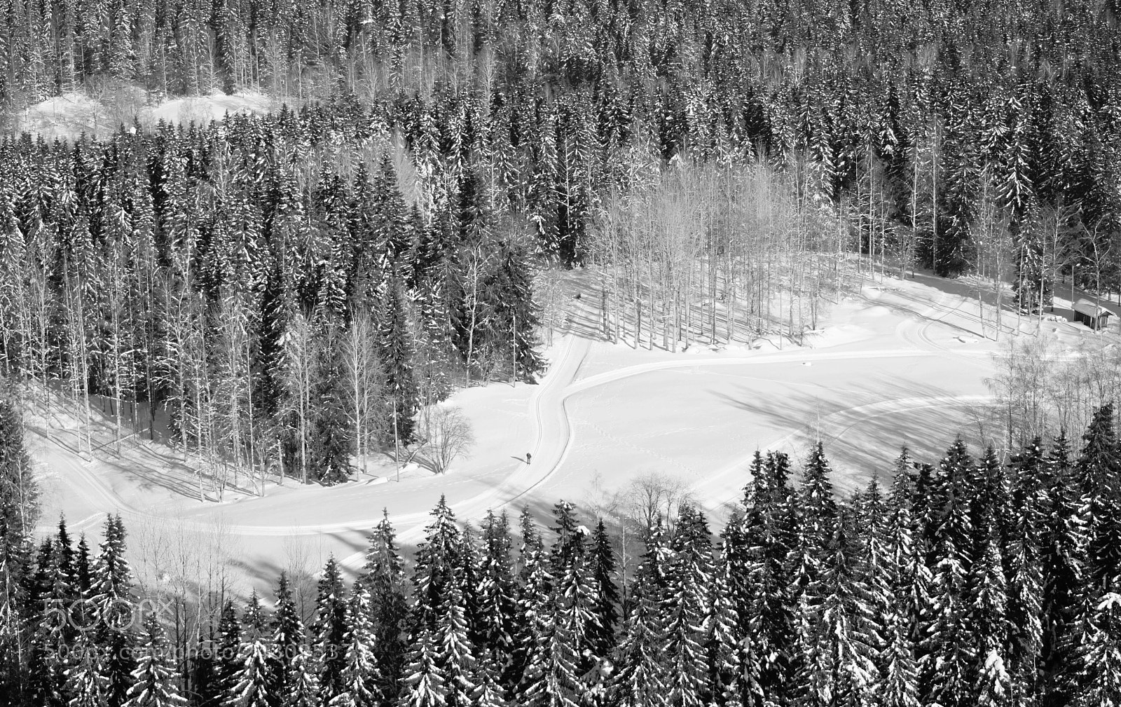 Nikon D7100 sample photo. Lone skier photography
