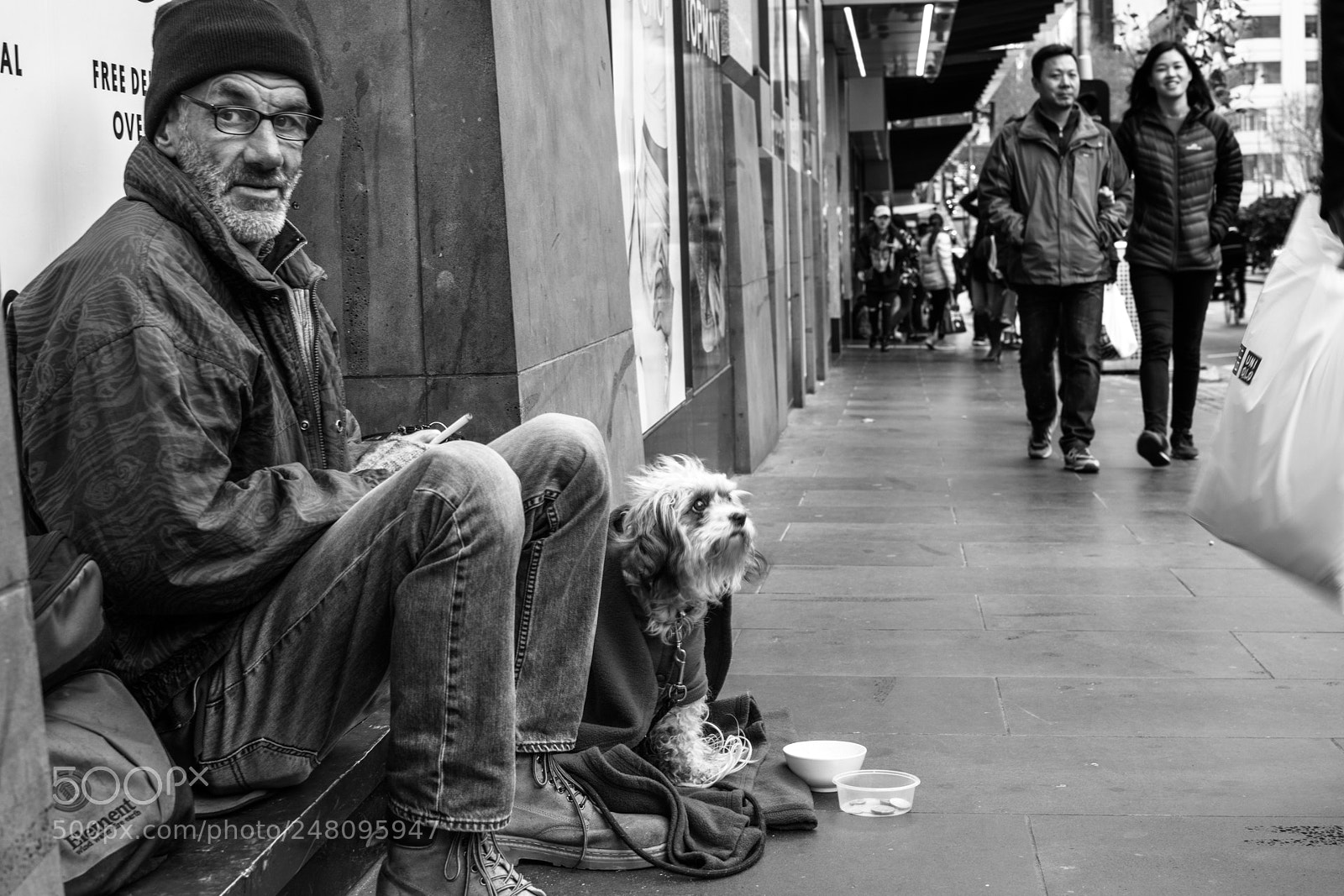 Nikon D5300 sample photo. Urban dogs 4 photography