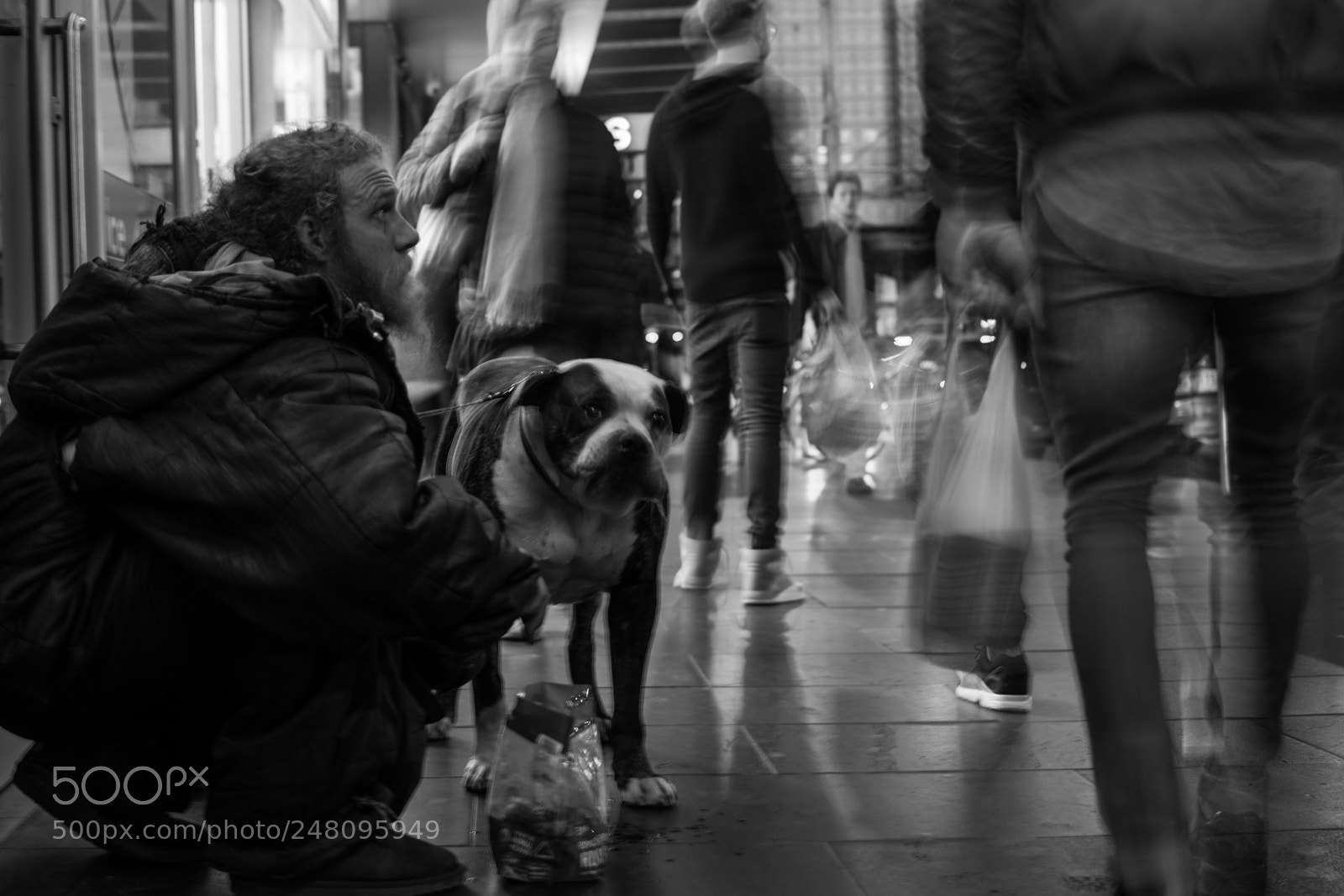 Nikon D5300 sample photo. Urban dogs 5 photography