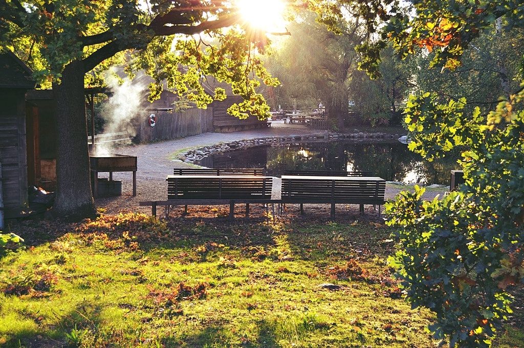 Nikon D5000 sample photo. Memories from stockholm photography