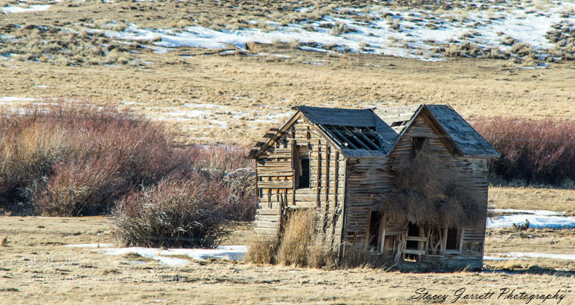 Nikon D3100 sample photo. The old homestead photography