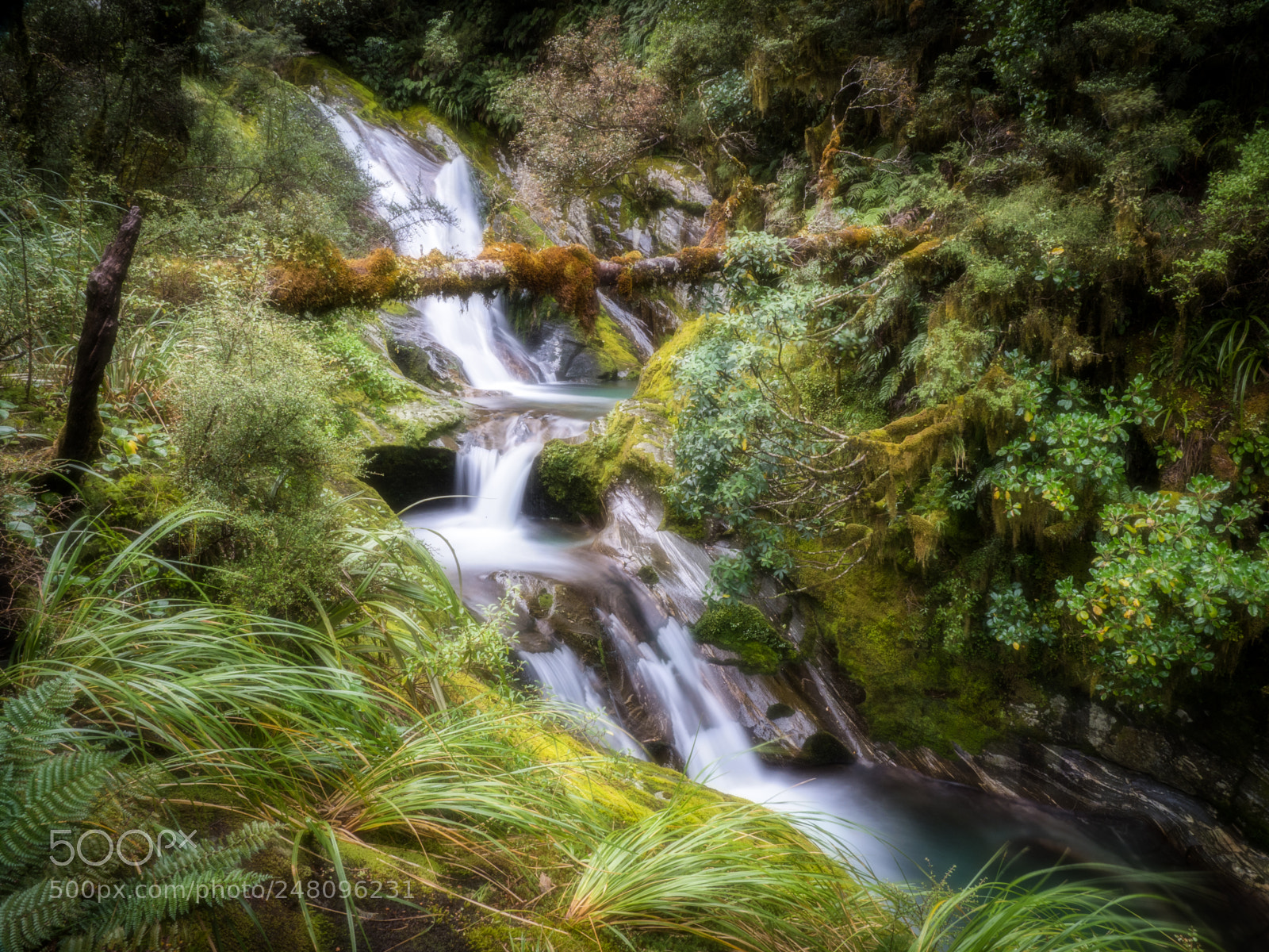 Olympus OM-D E-M1 Mark II sample photo. Cascade on roaring burn photography