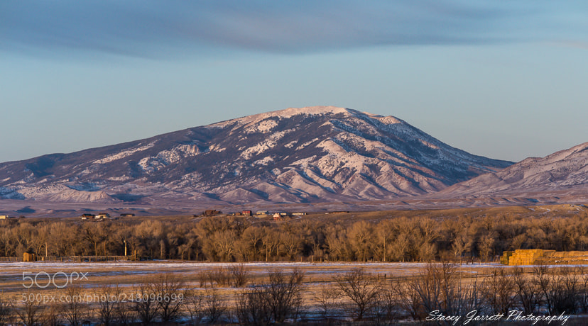 Nikon D3100 sample photo. Elk mountain in the photography