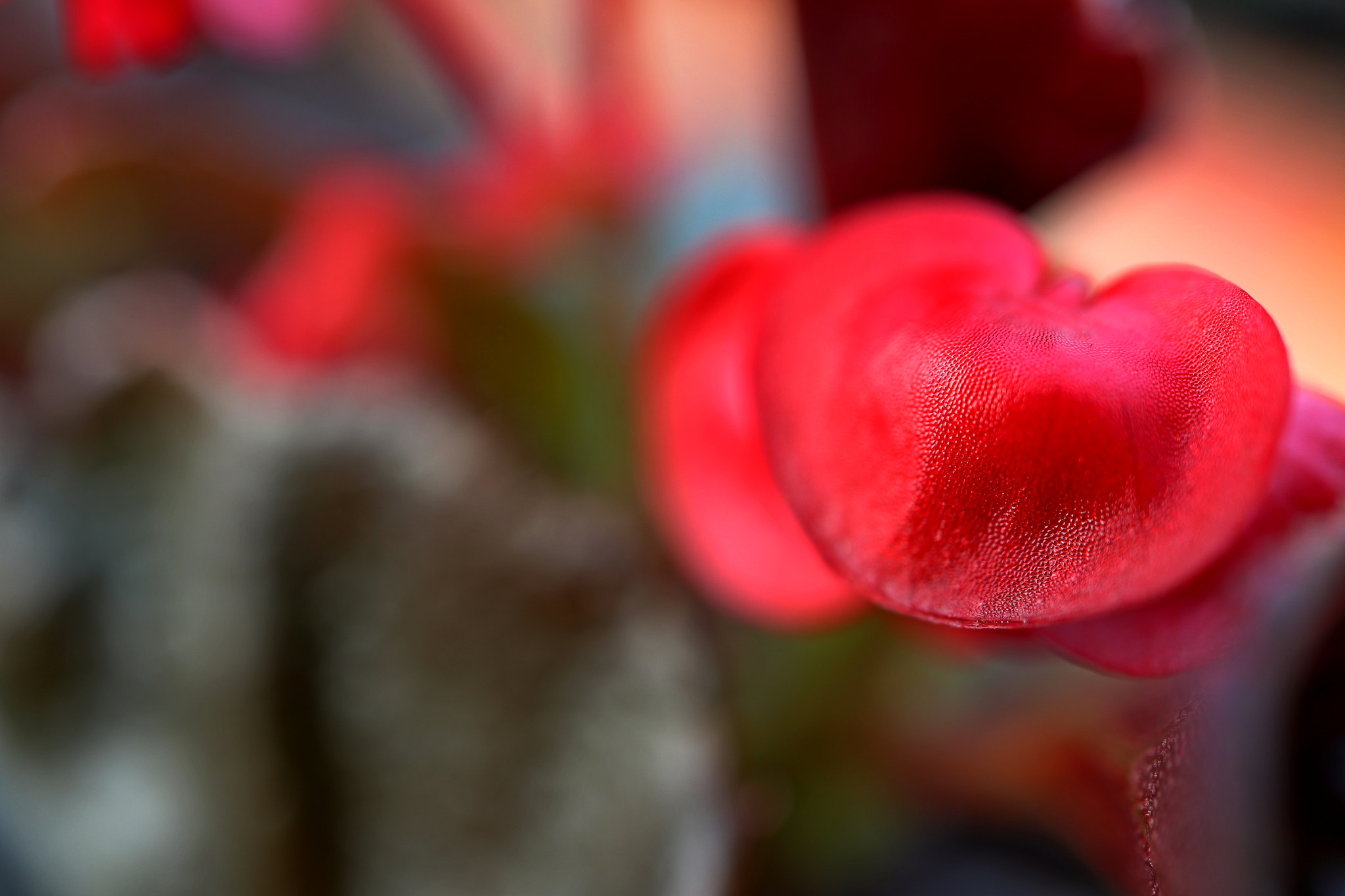 Canon EF-M 28mm F3.5 Macro IS STM sample photo. Img photography