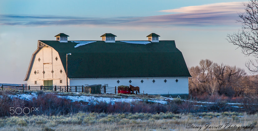 Nikon D3100 sample photo. Beauty of a barn photography