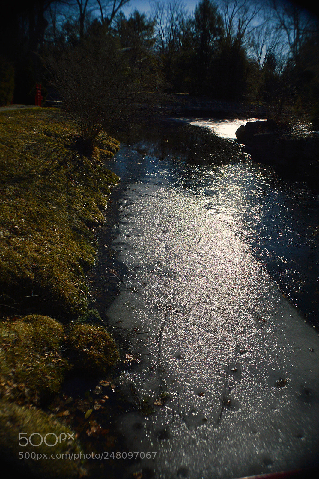 Nikon D3200 sample photo. Butterflies photography