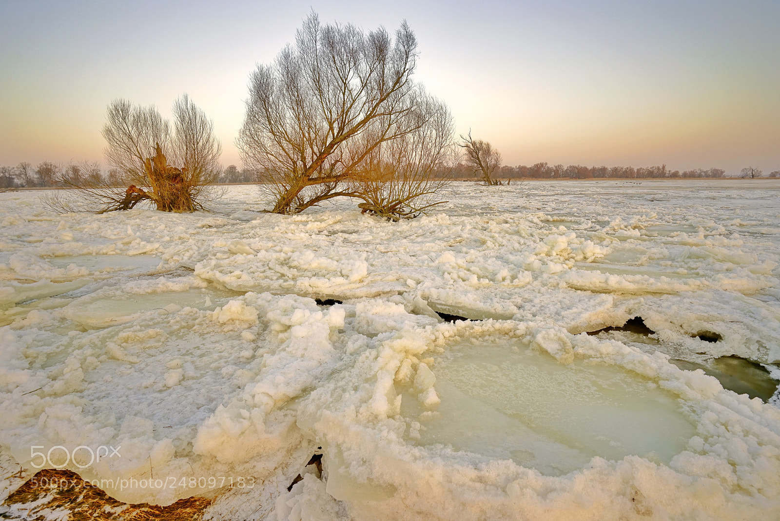 Sony a7R sample photo. An der oder photography