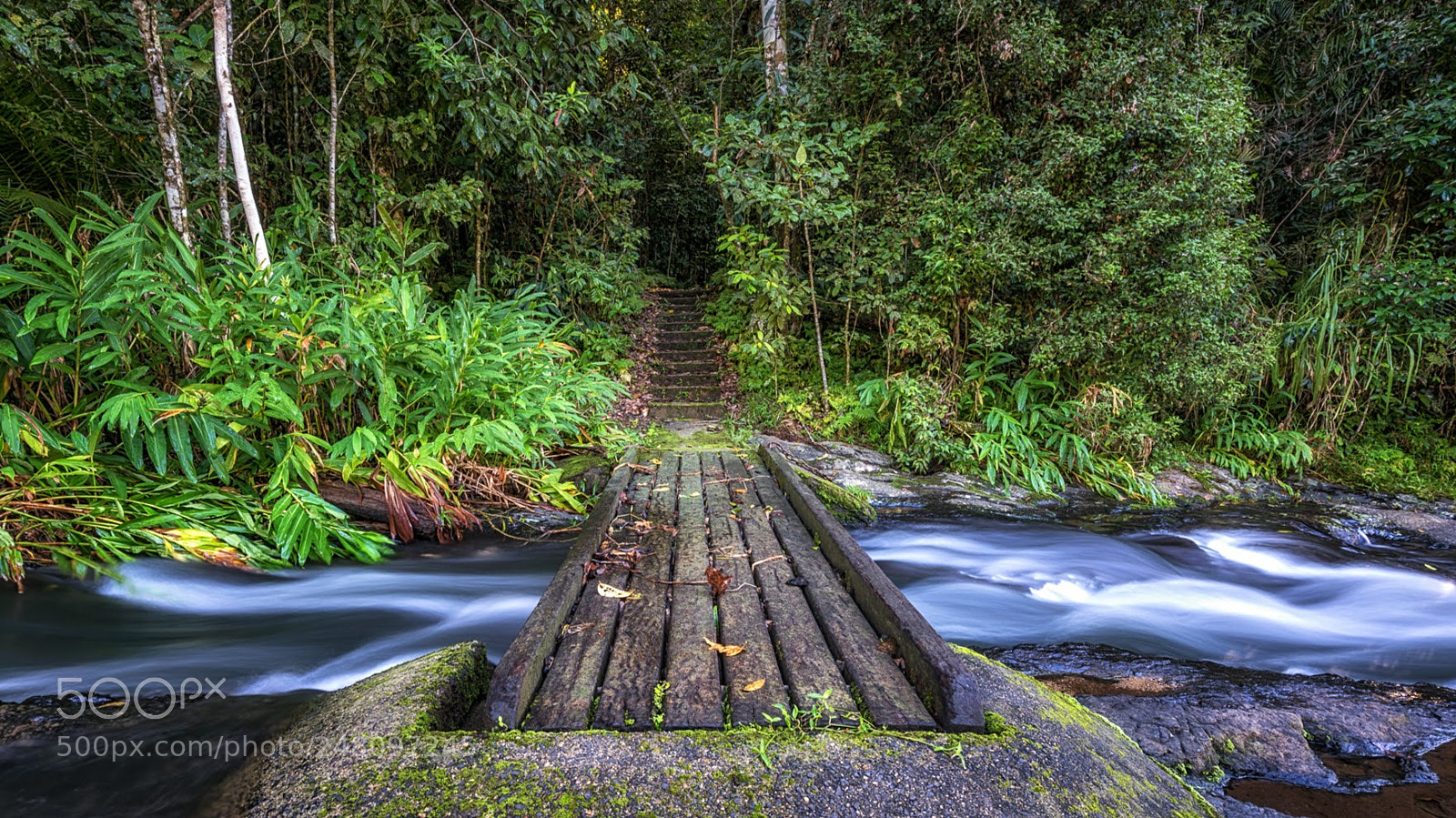 Sony a7R II sample photo. Gooligans picnic area rob photography