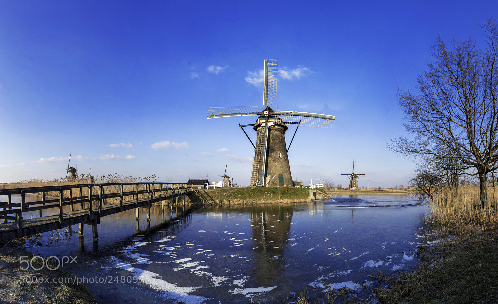 Canon EOS 550D (EOS Rebel T2i / EOS Kiss X4) sample photo. Kinderdijk photography