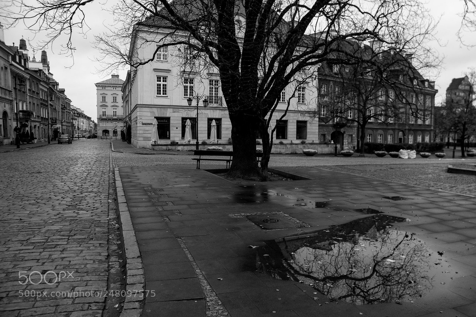 Nikon D90 sample photo. After  rain photography