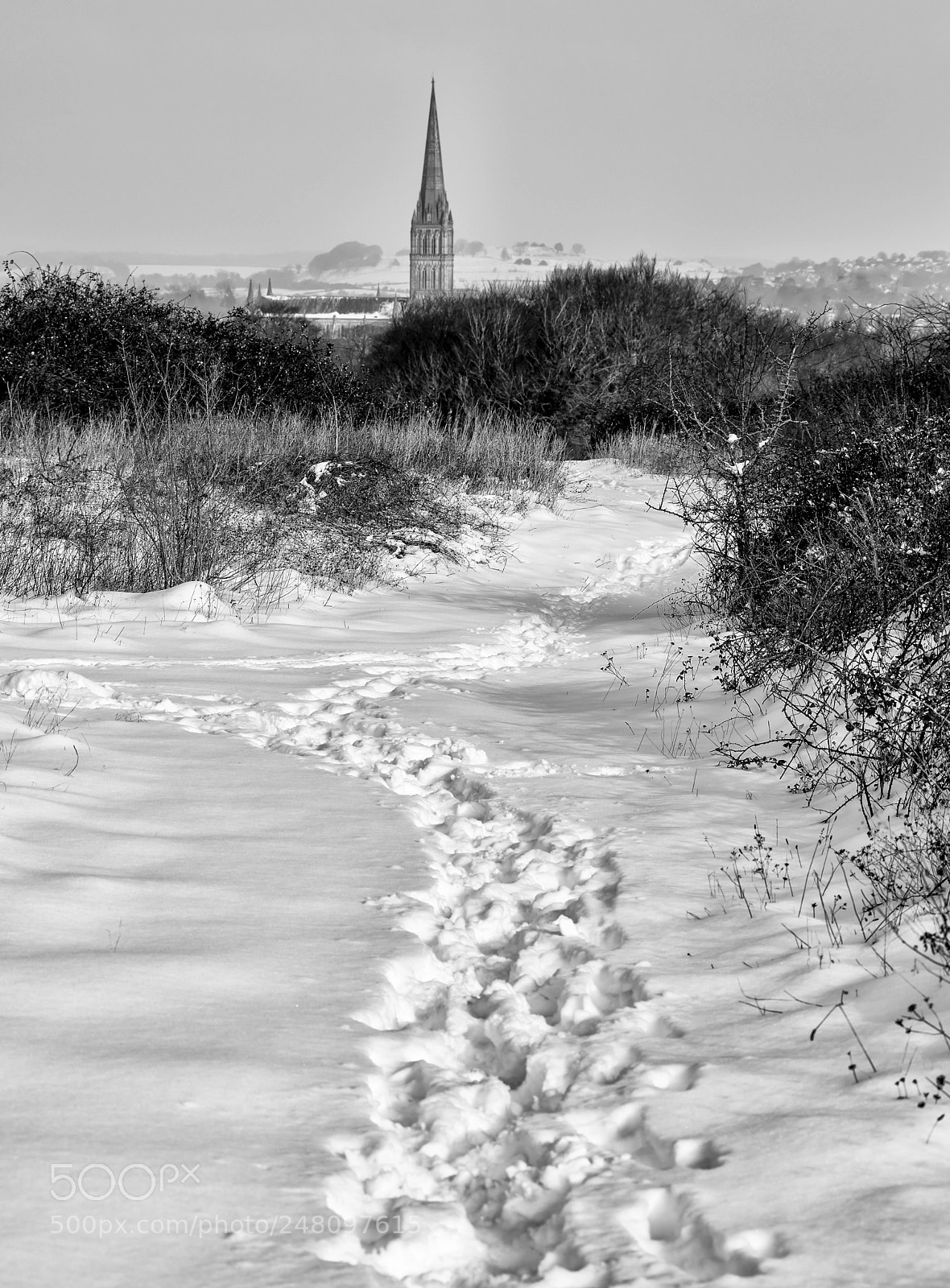 Nikon D810 sample photo. Snowy path photography