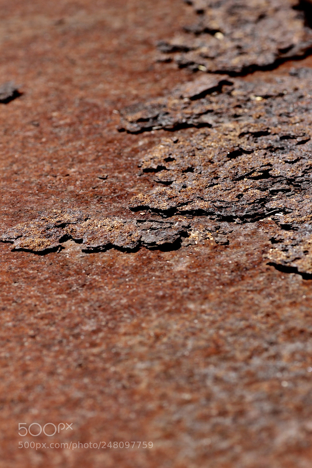 Canon EOS 1100D (EOS Rebel T3 / EOS Kiss X50) sample photo. Rail line rust photography