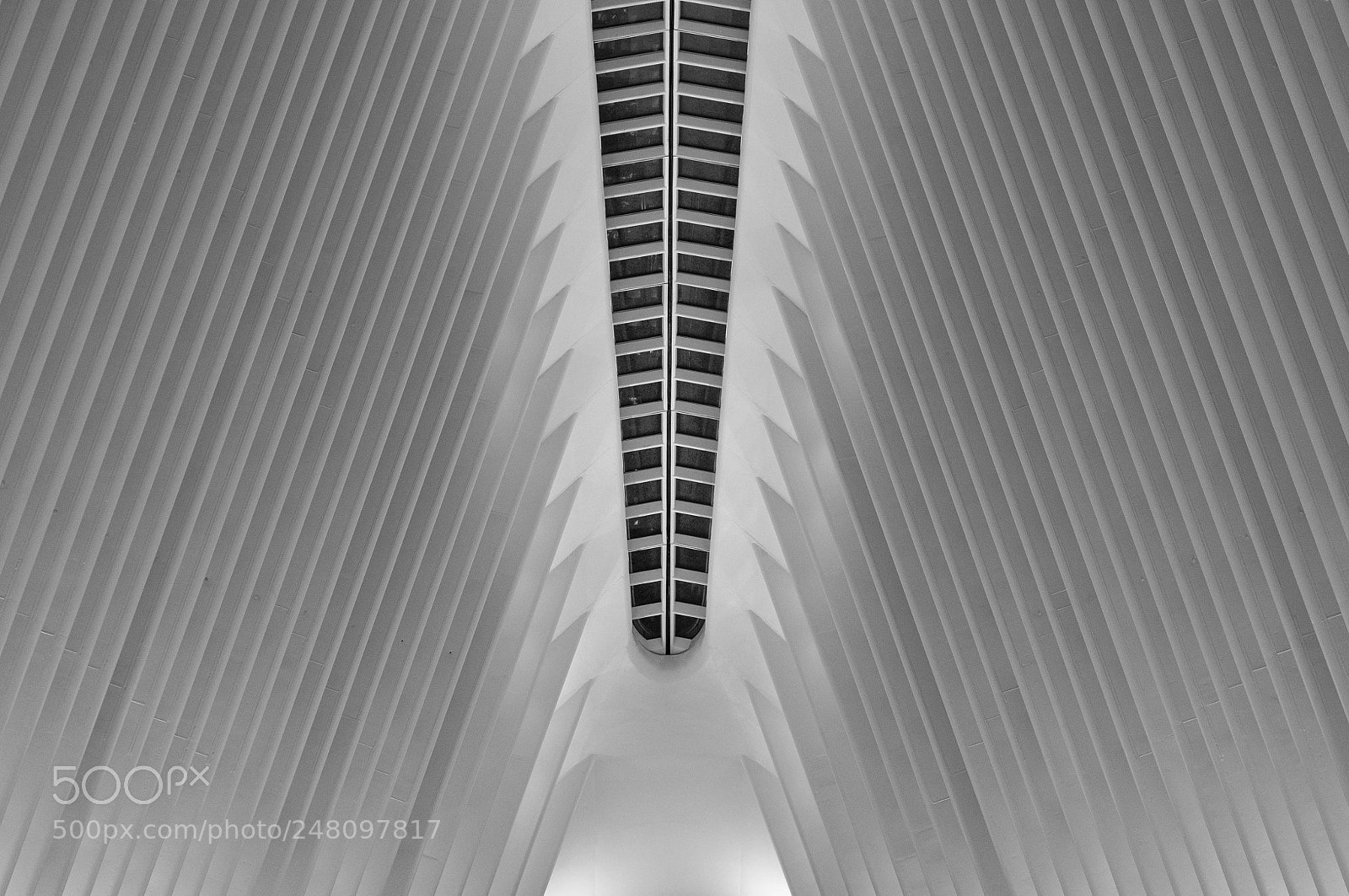 Nikon D90 sample photo. Oculus lines photography