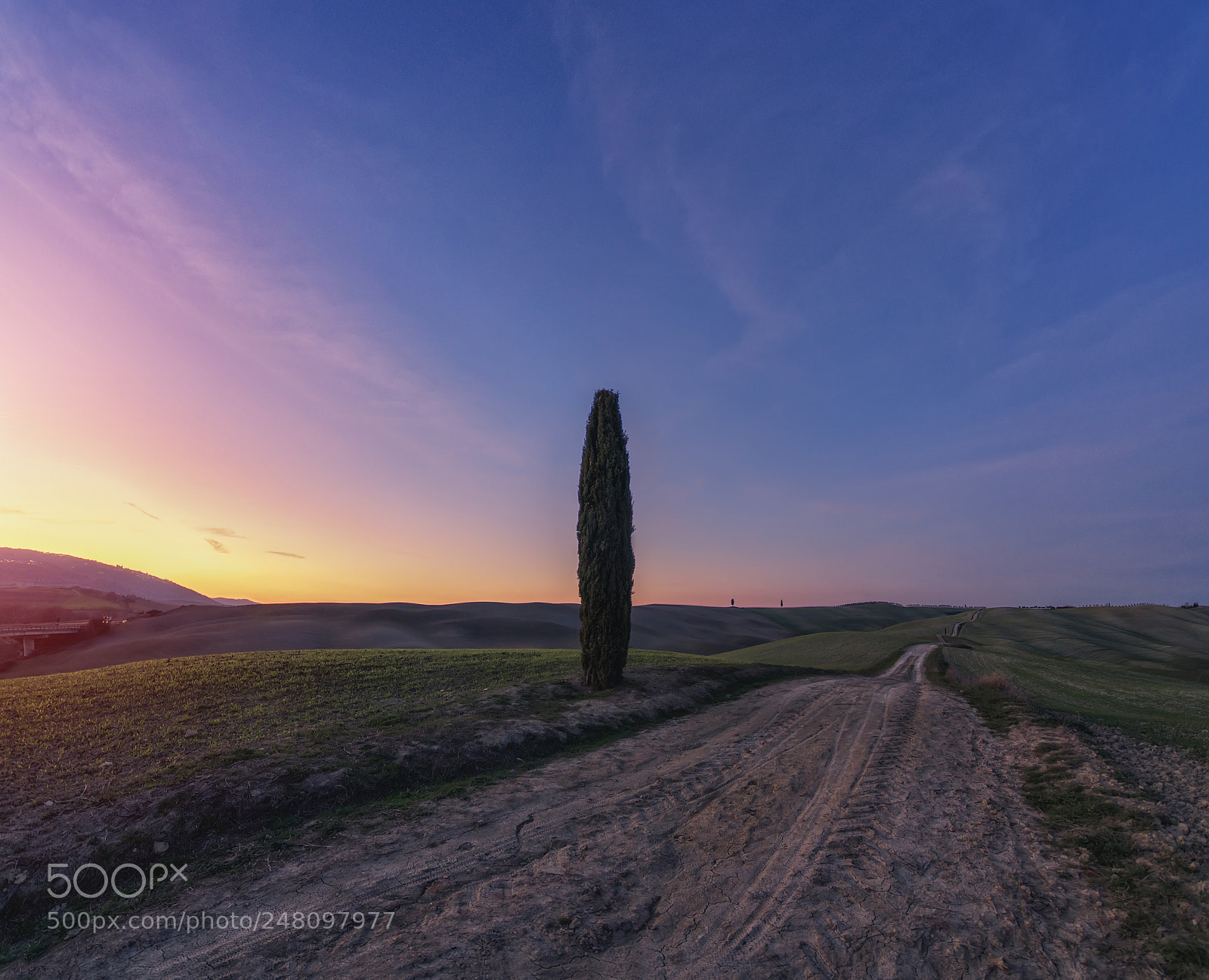 Nikon D850 sample photo. Road to horizon photography