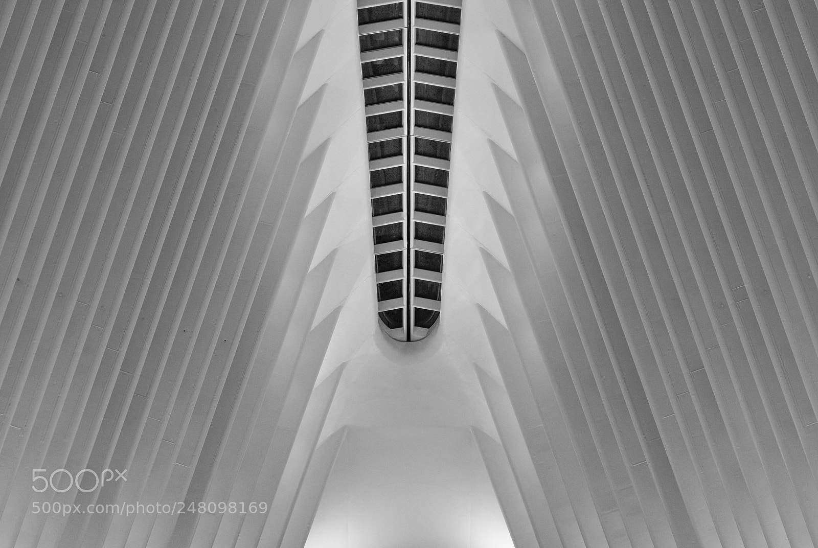 Nikon D90 sample photo. Oculus lines photography