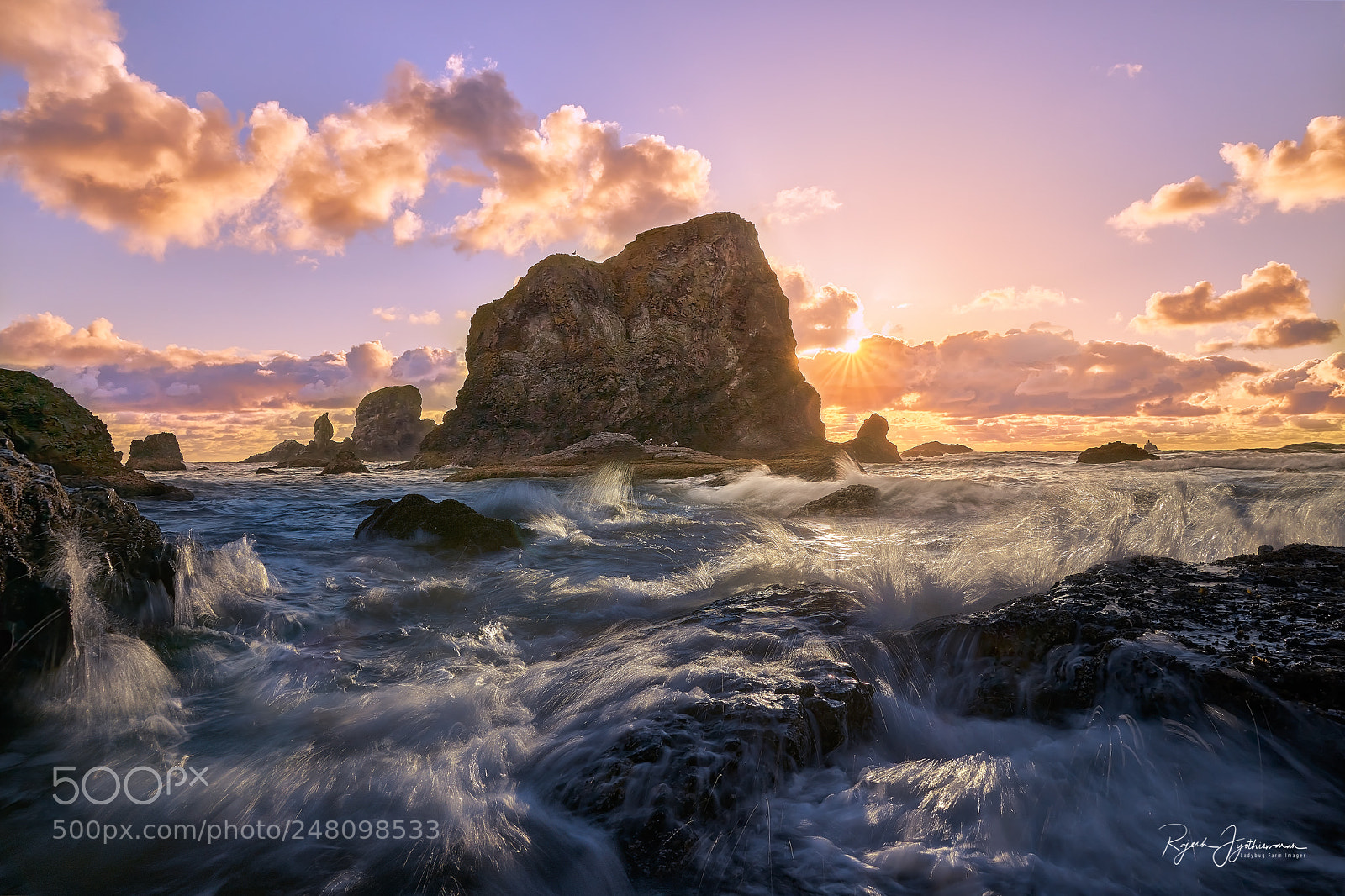 Sony a7 II sample photo. Enchanting ecola photography