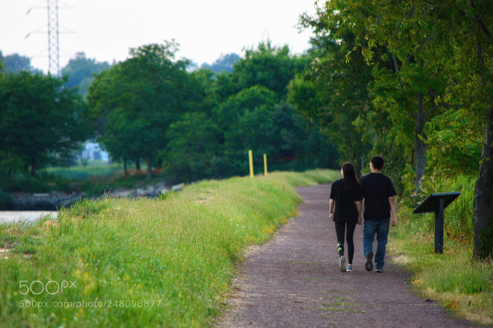 Nikon D7200 sample photo. Romantic walk photography