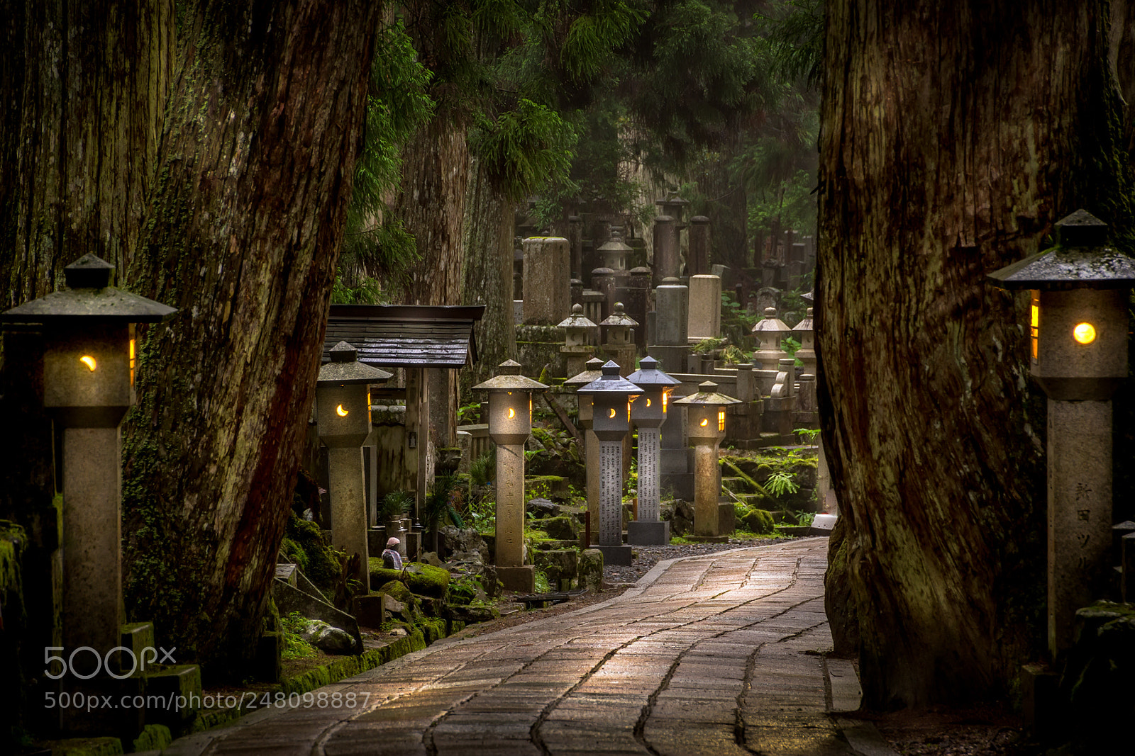 Sony SLT-A77 sample photo. Okunoin cemetery koyasan photography