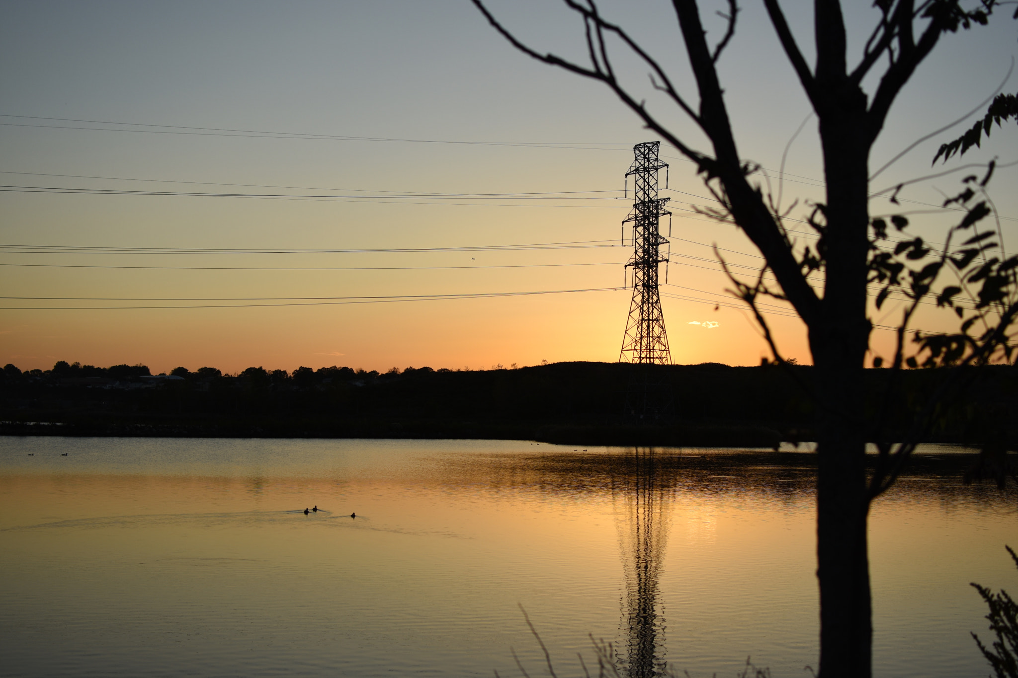 Nikon AF-S DX Nikkor 35mm F1.8G sample photo. Powerlines photography