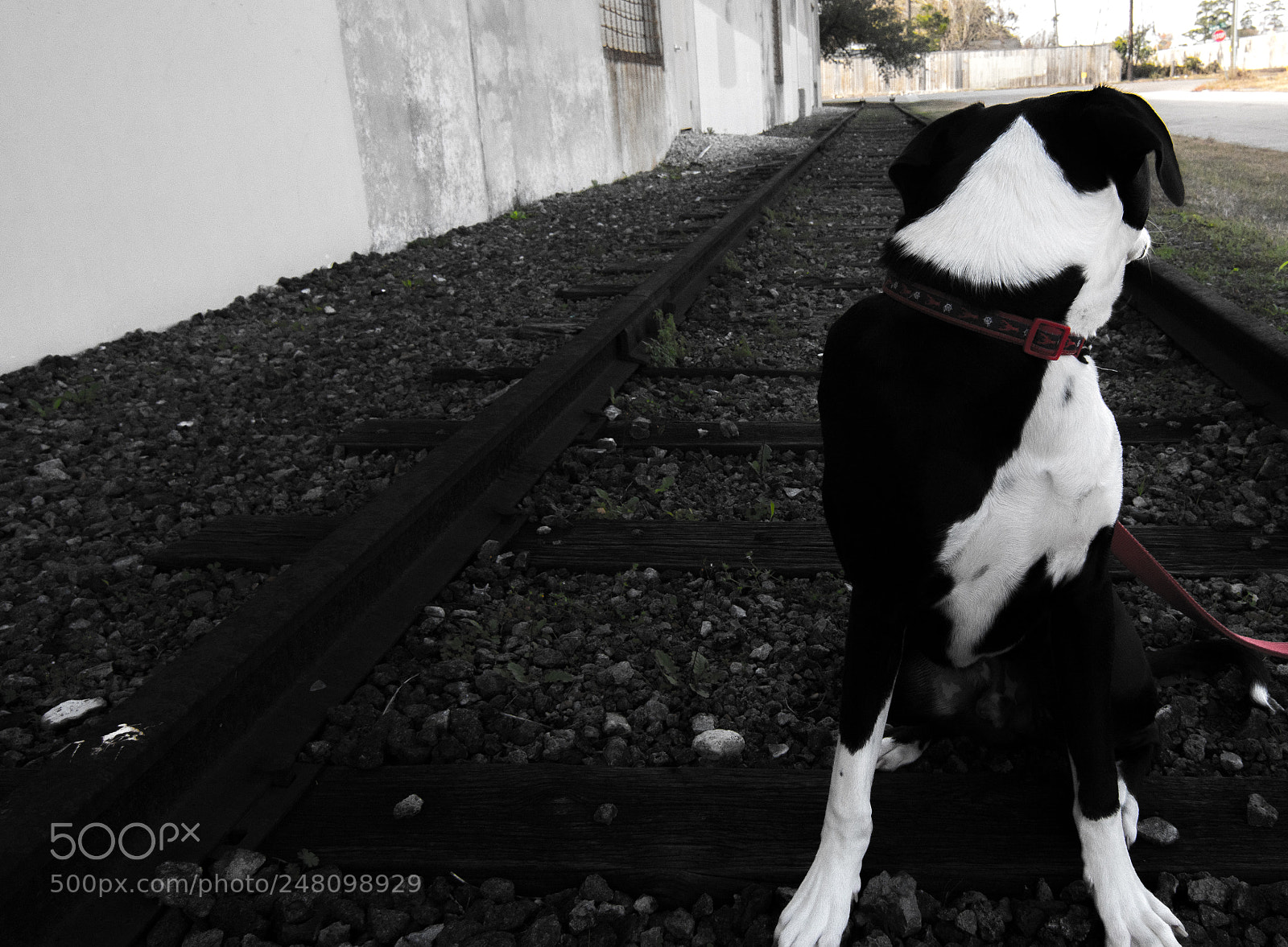Nikon D500 sample photo. A picture of my photography