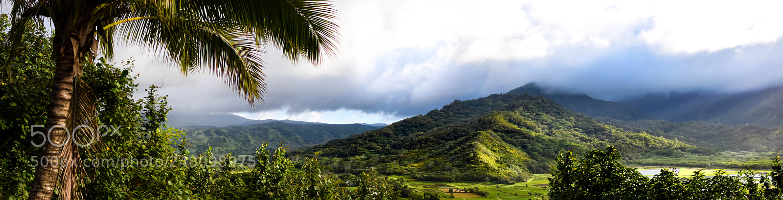 Nikon D7200 sample photo. Hanalei panorama photography