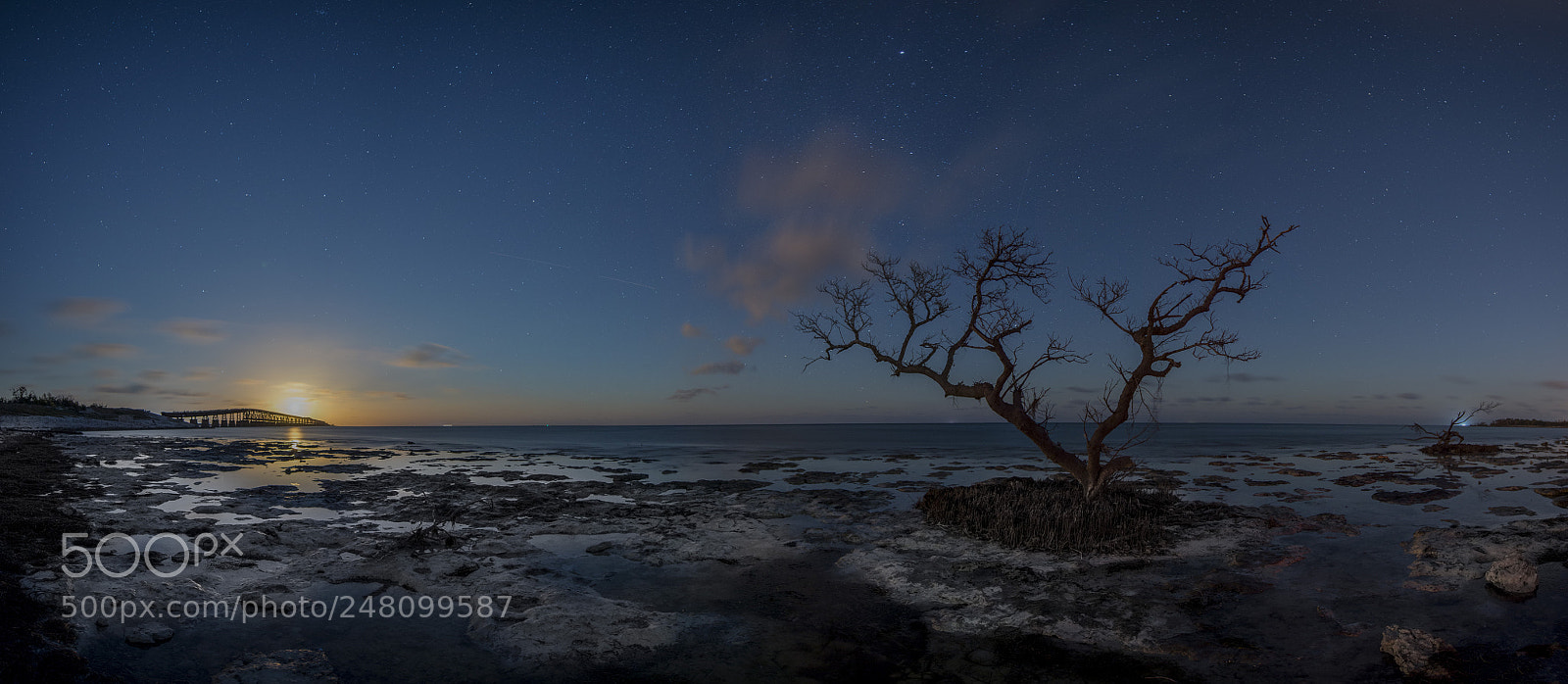 Nikon D600 sample photo. Untitled panorama photography