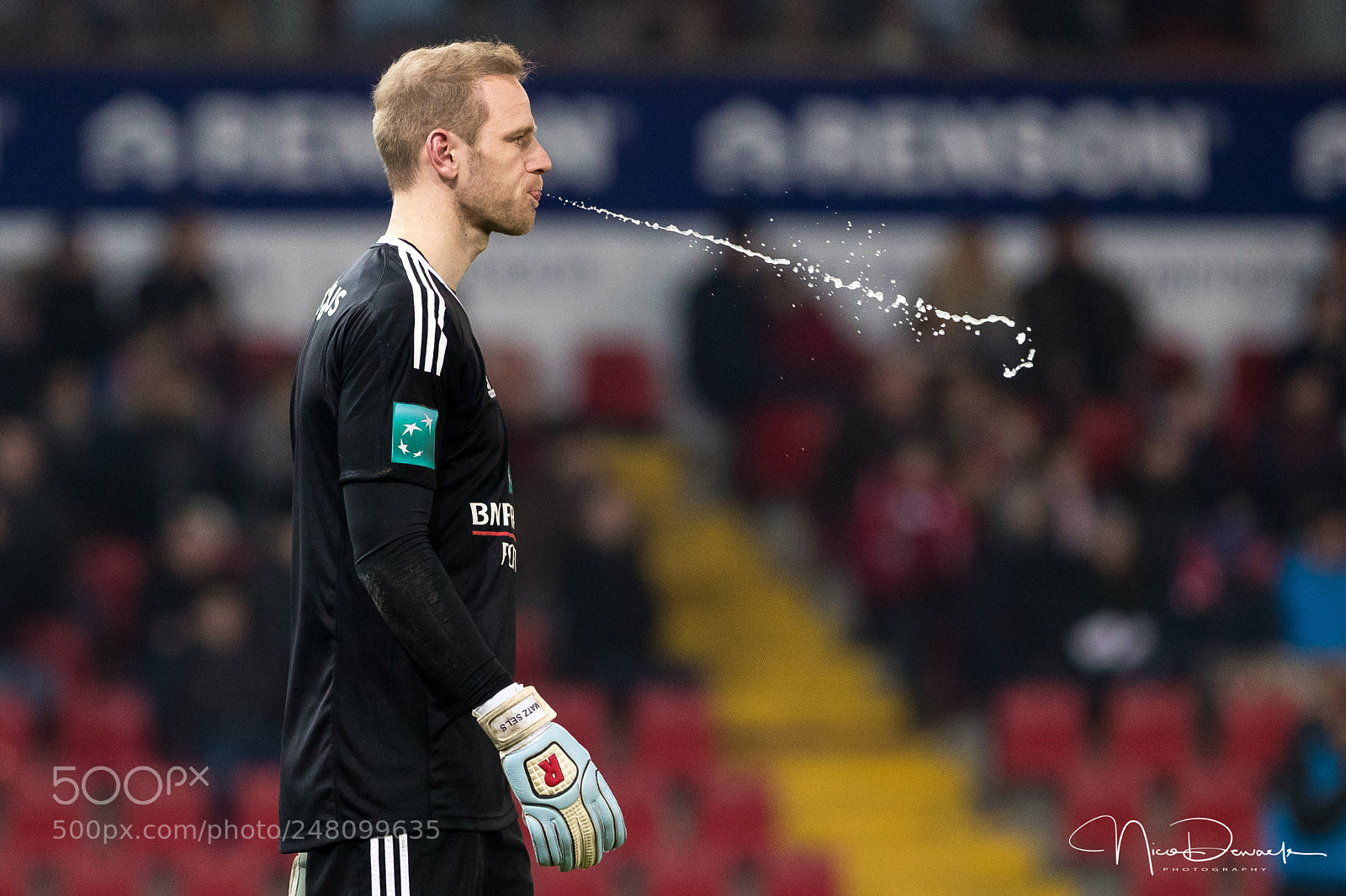 Canon EOS-1D X Mark II sample photo. Matz sels photography