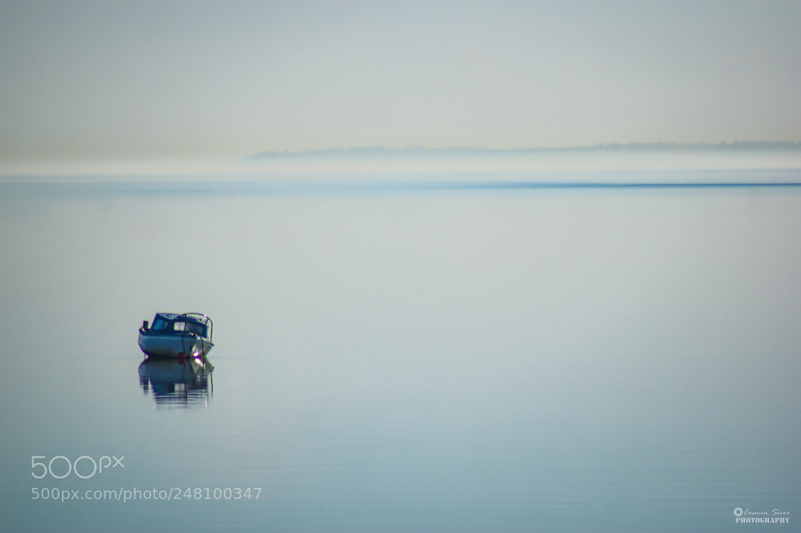 Nikon D5600 sample photo. Alone in the sea photography